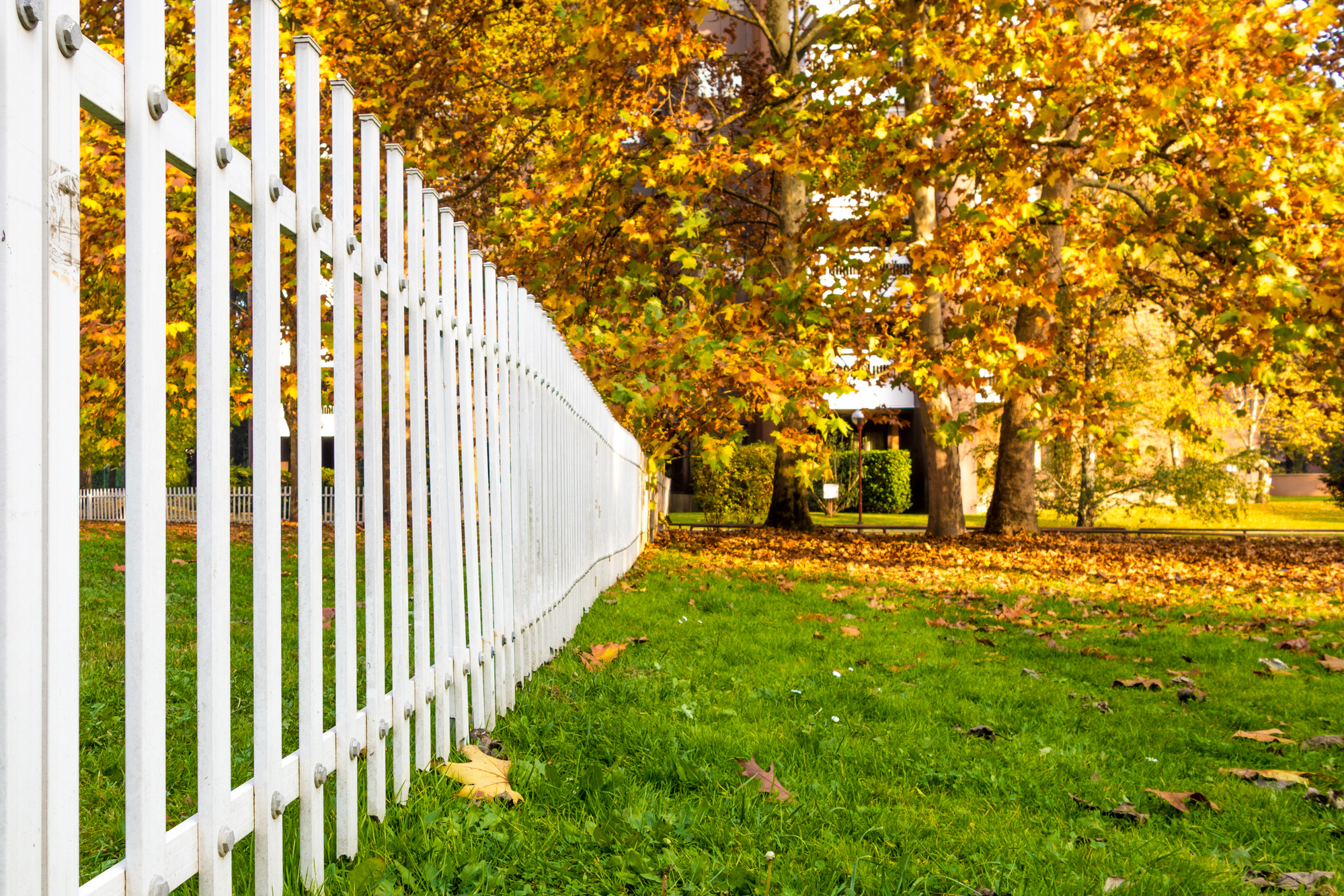 Fence Etiquette: What to Know & How to Talk to Neighbors