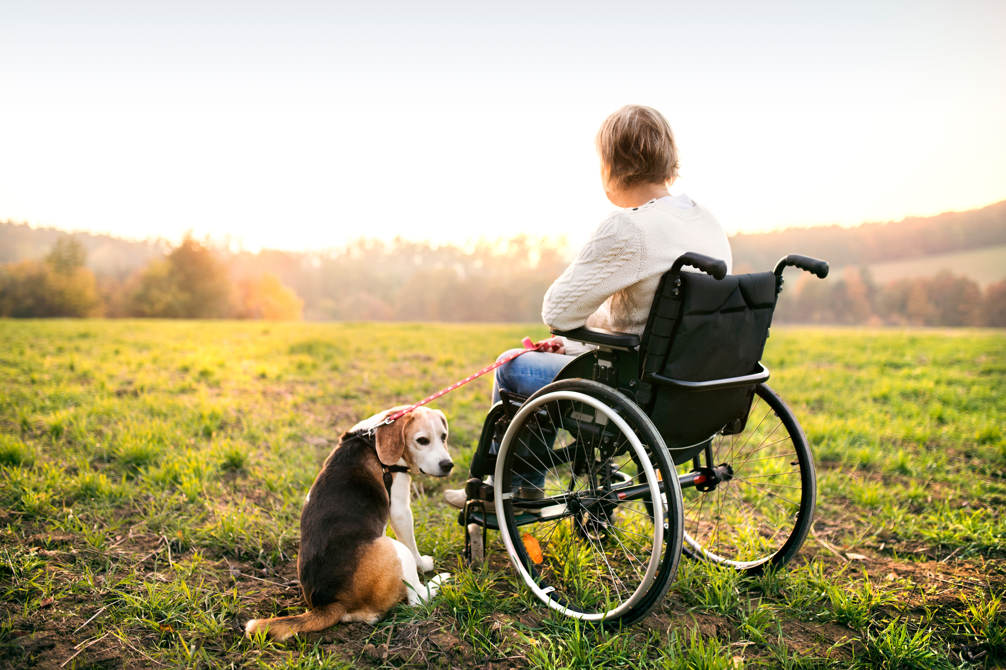 Types of Special Needs Trusts