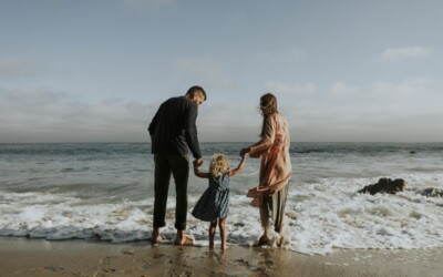 What Does A Trustee Do?