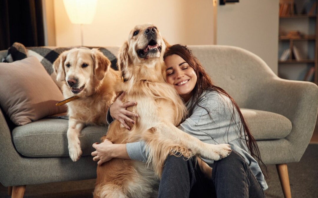 The Importance Of Considering Your Pets In Your Estate Plan